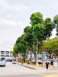 Geylang Road (D14), Shop House #579468321